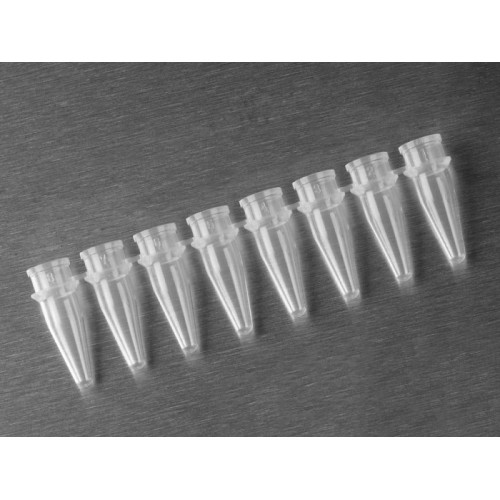 PCR Tube 0.1 ml 8-Strip Well PCR Tube 0.1 ml 8-Strip Well